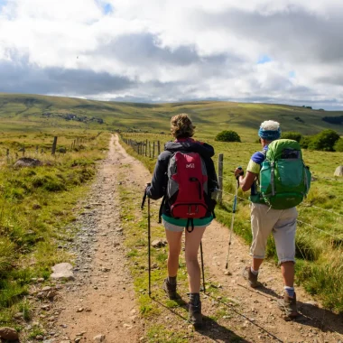 Hikers