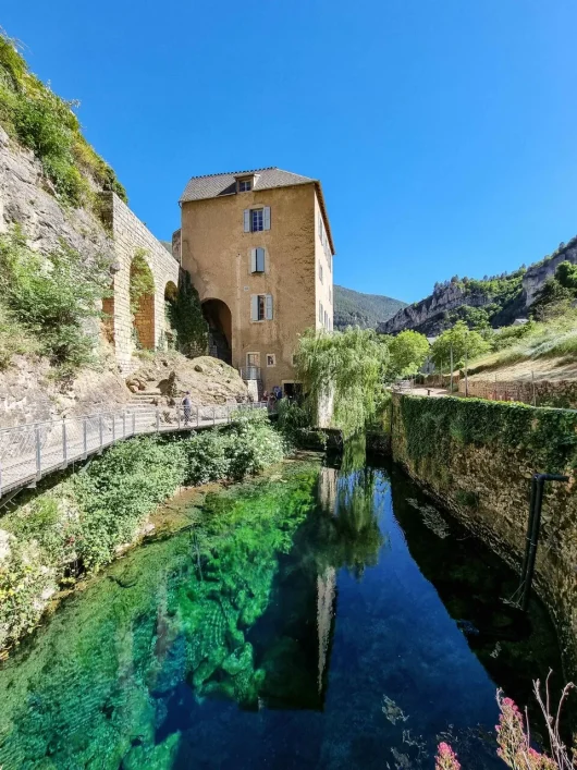 Burle Spring