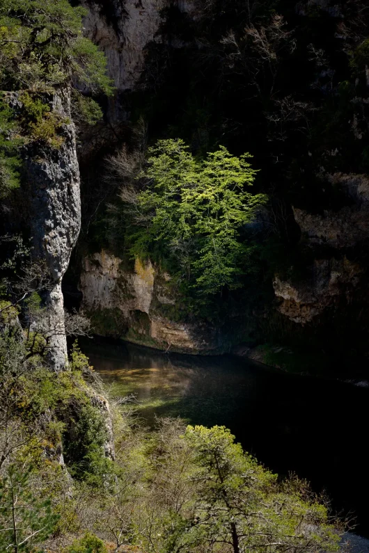 Straits of the Tarn Gorges