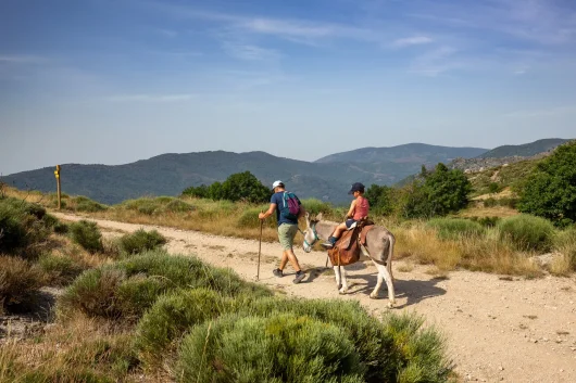 Pete and son on a hike with a donkey
