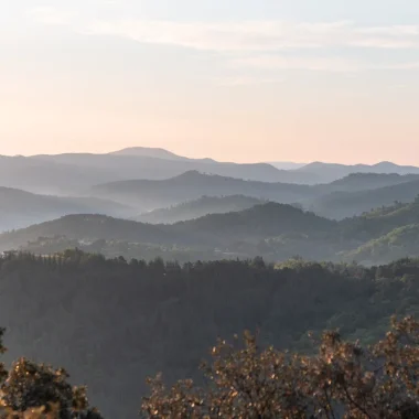Cévennes