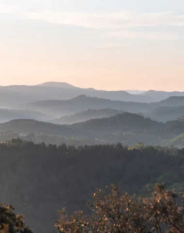 Cévennes