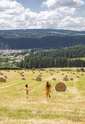 In Lozère