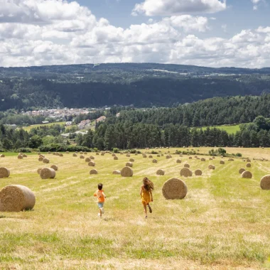 Field near Le Malzieu