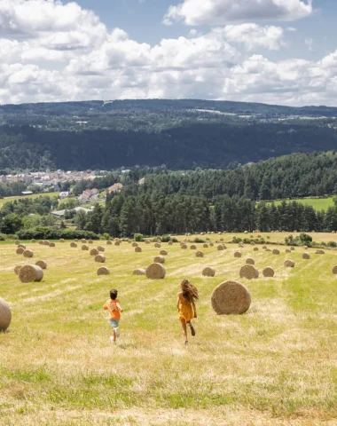 Field near Le Malzieu