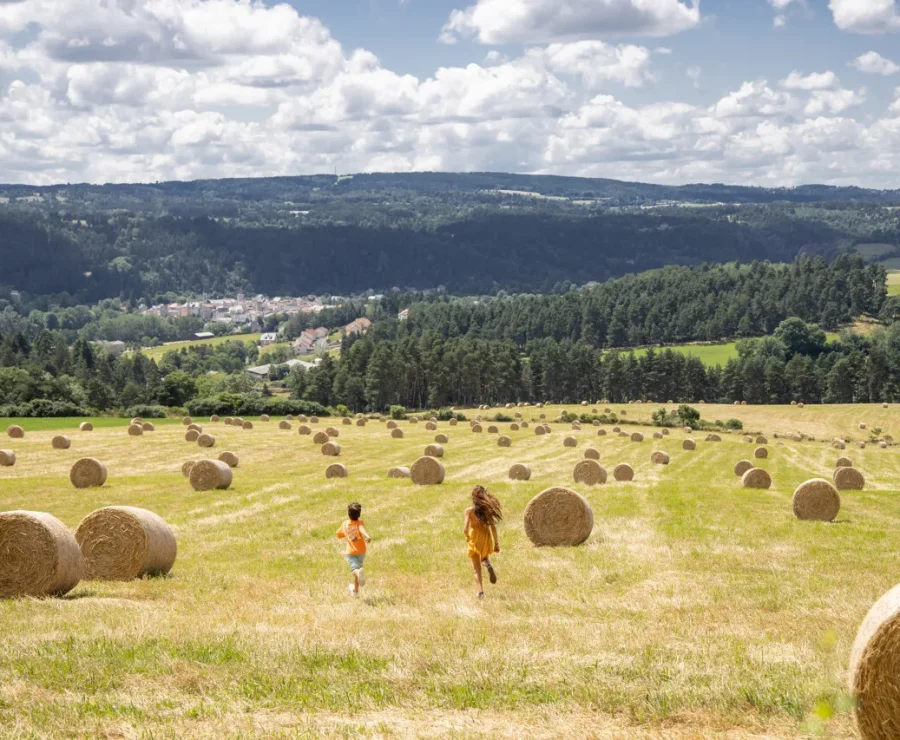 Field near Le Malzieu