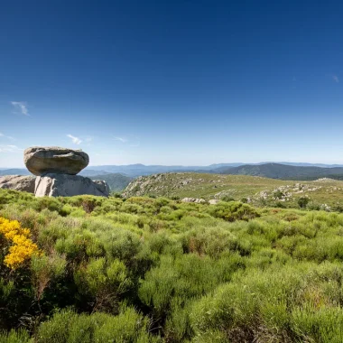 Mont Lozère