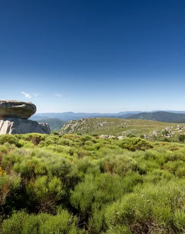 Mont Lozère landscape in spring