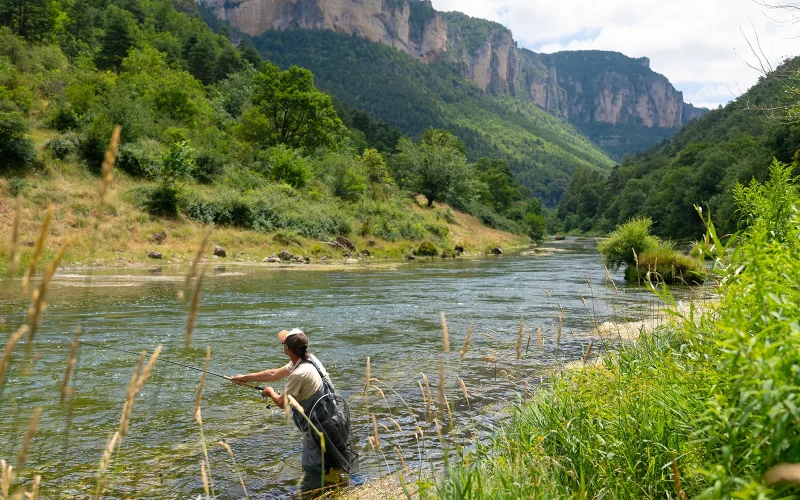 Fly fisherman