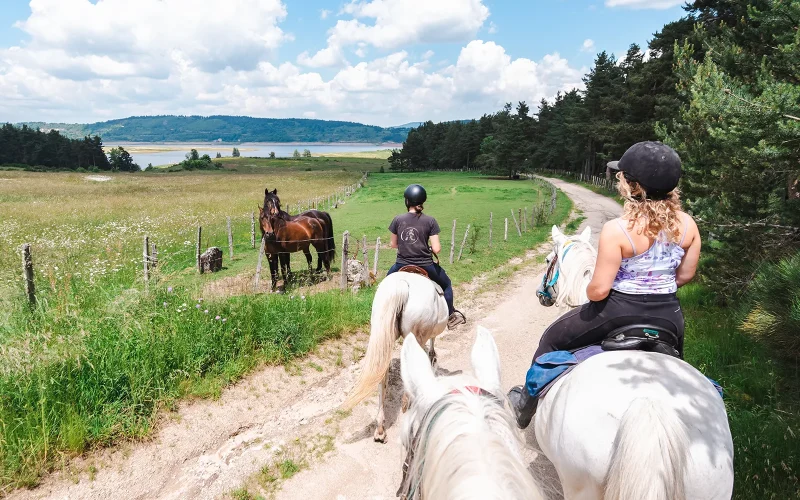 Horseback riding