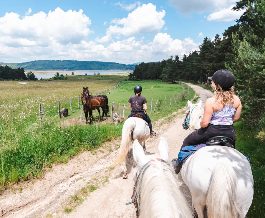 Horseback riding