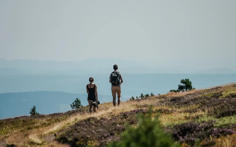 Hiking