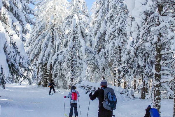 Cross-country skiing