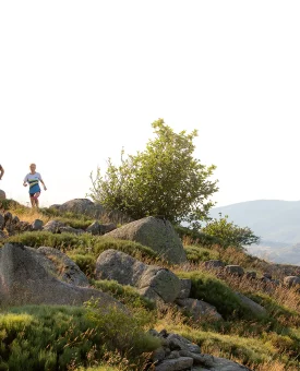 Trail