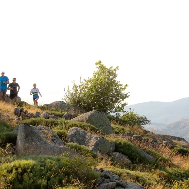 Trail runners