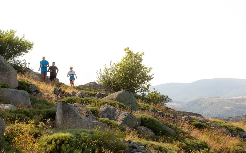 Trail runners