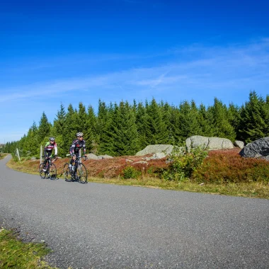 Road cyclists