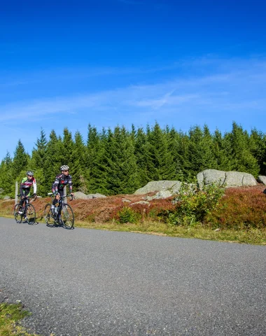 Road cyclists