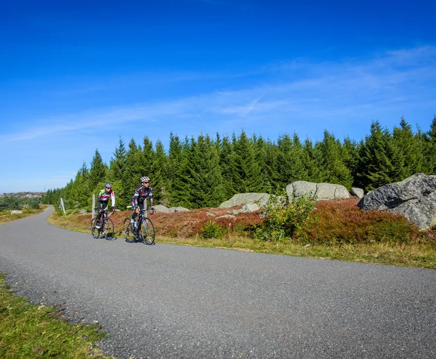 Road cyclists