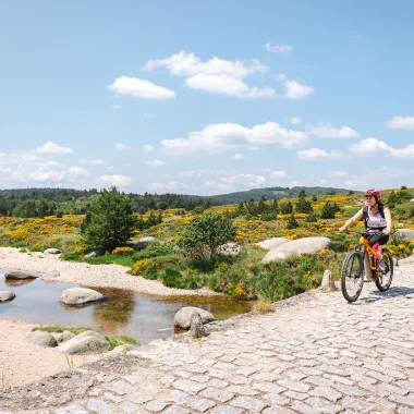 Experiences in Lozère