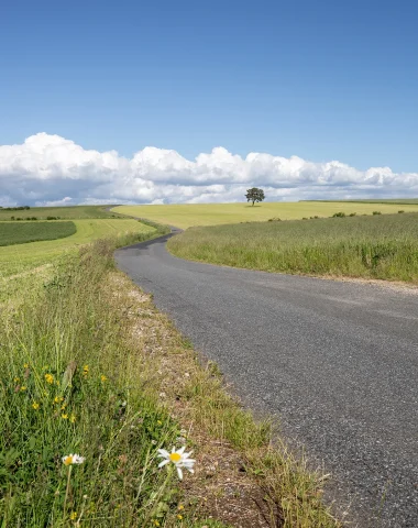 Road across the Causse Méjean