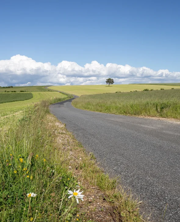 Road across the Causse Méjean