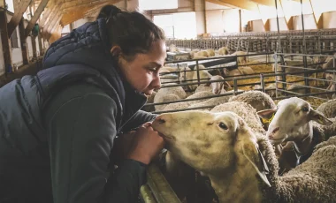 Shepherdess