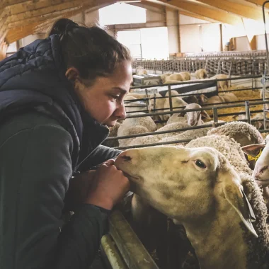 Shepherdess