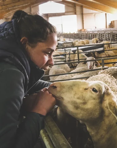 Shepherdess
