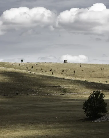 Steppes of the Causse Méjean