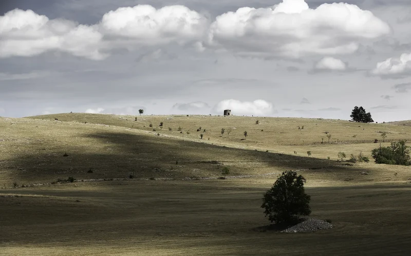 Steppes of the Causse Méjean