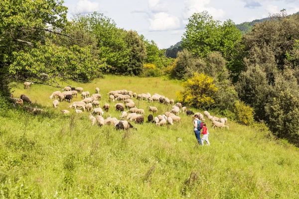 10 great reasons to love Lozère in spring