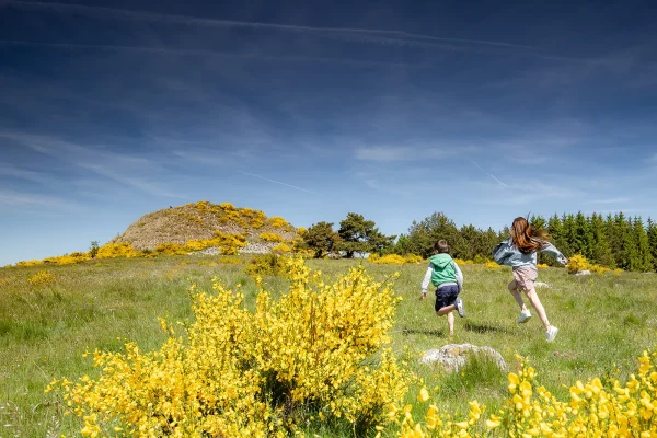 Usanges trick in the spring