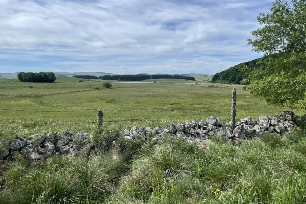 Hiking on the Aubrac