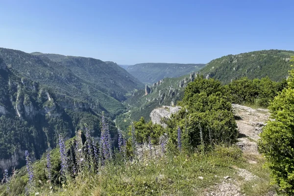 Panorama