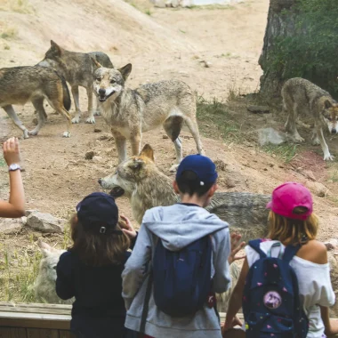 Children at the Gévaudan Wolf Park