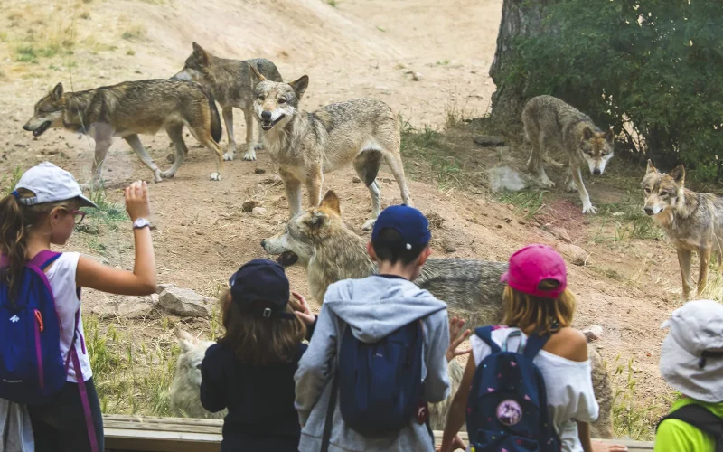 Children at the Gévaudan Wolf Park
