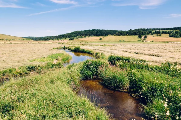 River in Margeride