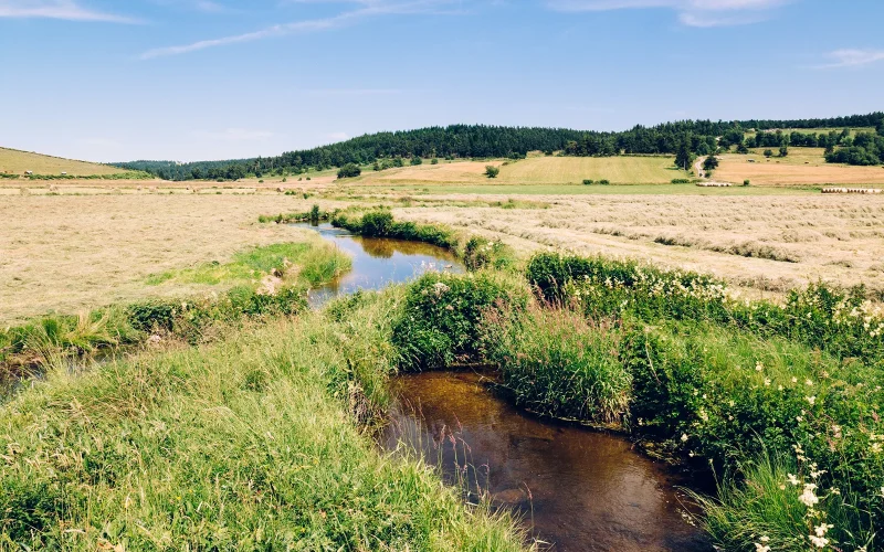 River in Margeride