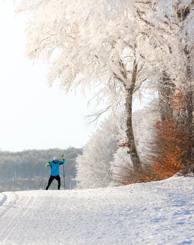 Skiing on the Aubrac