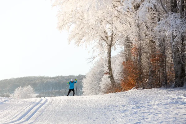 Skiing on the Aubrac
