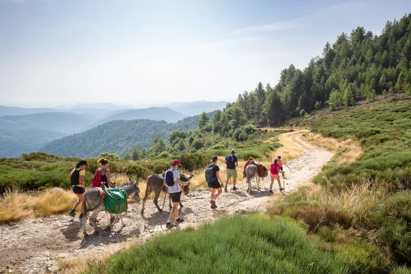 Family hike with donkeys