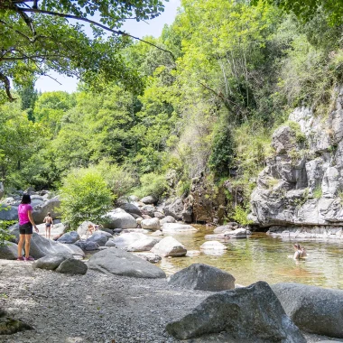 Picnic and swimming