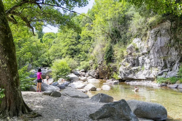 Picnic and swimming