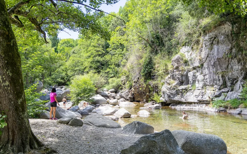 Picnic and swimming