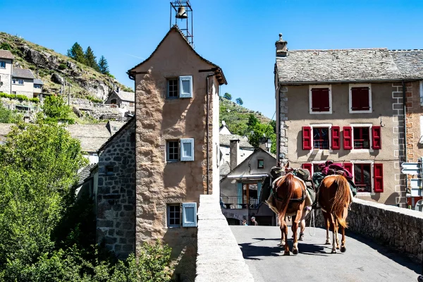 Bridge and horses at Le Pont-de-Montvert