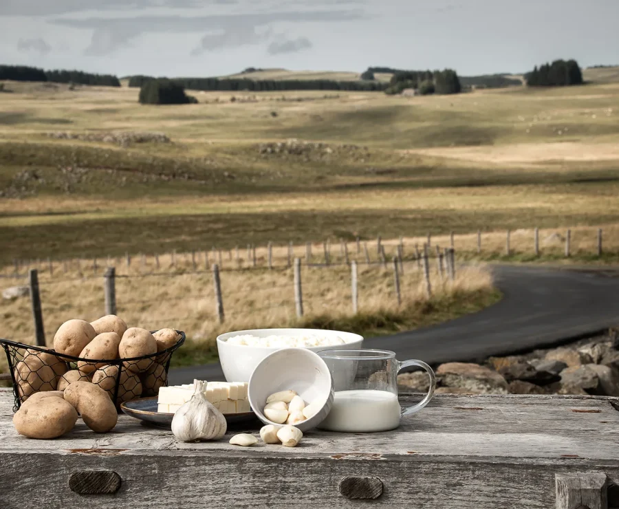 Ingredients of aligot