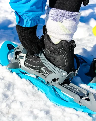 Snowshoes