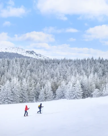 Snowshoeing