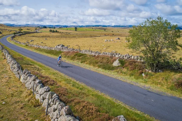 Cyclist on a road in the Aubrac region